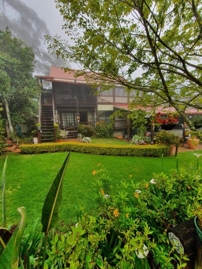 Kattekwaad Accommodation Kaapsehoop エクステリア 写真