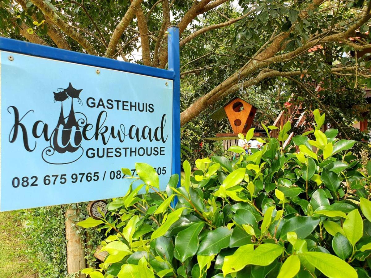 Kattekwaad Accommodation Kaapsehoop エクステリア 写真