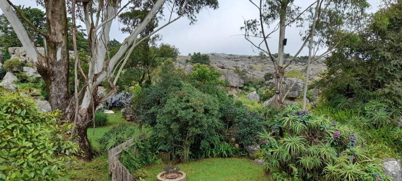 Kattekwaad Accommodation Kaapsehoop エクステリア 写真