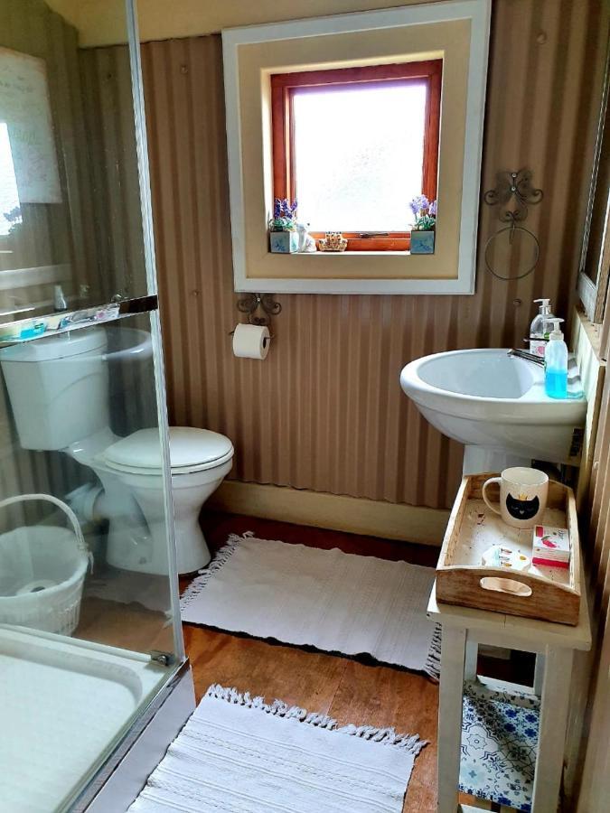 Kattekwaad Accommodation Kaapsehoop エクステリア 写真