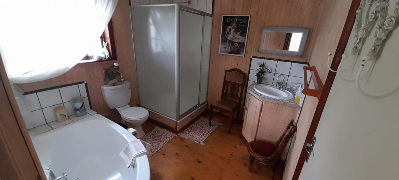 Kattekwaad Accommodation Kaapsehoop エクステリア 写真