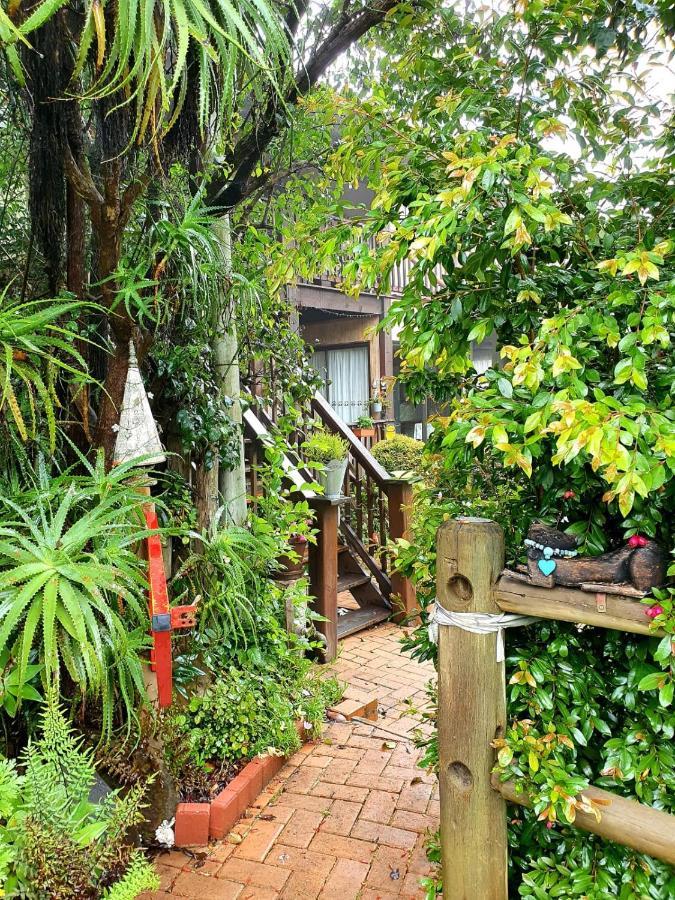 Kattekwaad Accommodation Kaapsehoop エクステリア 写真